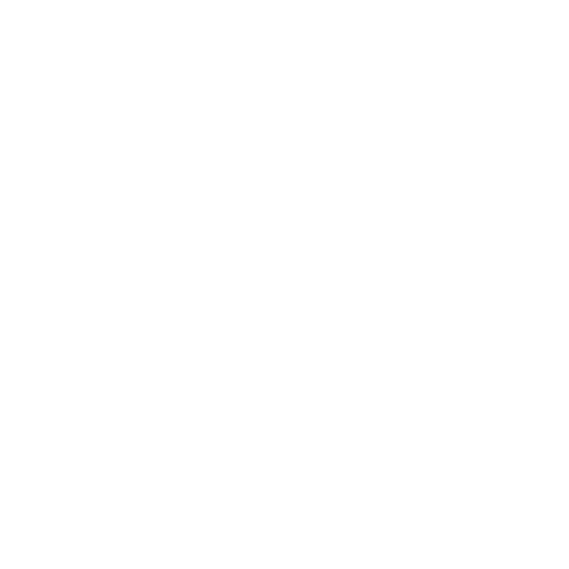 Car Safety Checks