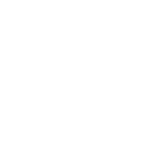 Car Brakes