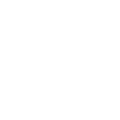 Car Exhausts